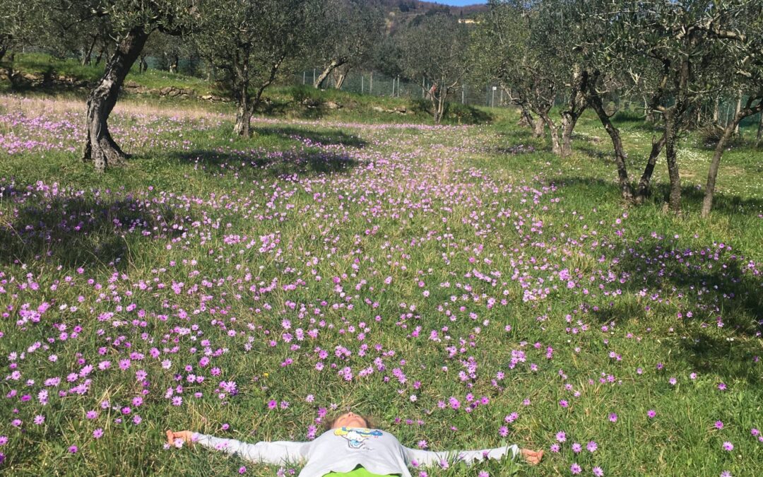 Appreciation, the meadow where wishes blossom